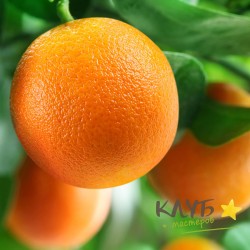 Апельсин, отдушка косметическая
