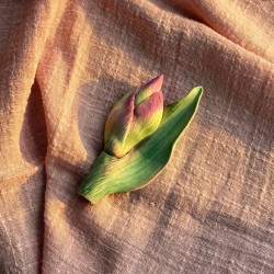 Бутон ириса с листом, форма из пищевого силикона Бутон ириса с листом, форма из пищевого силикона